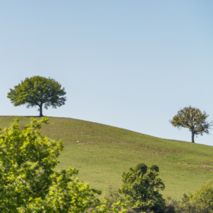 Café par Monts et par Vaux