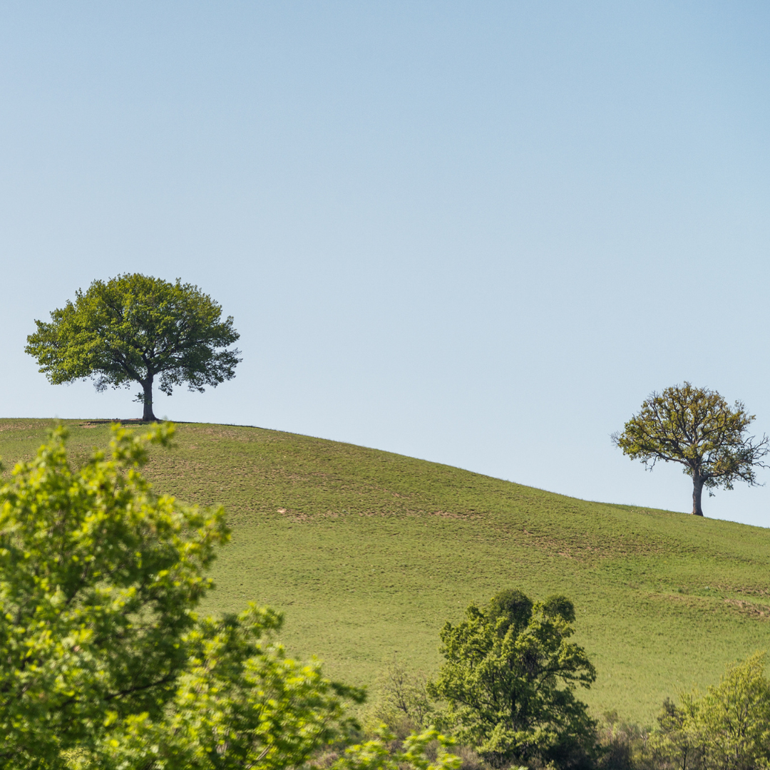 Café par Monts et par Vaux