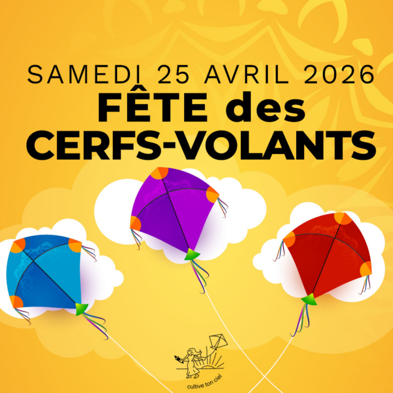 Découverte des cerfs-volants du monde