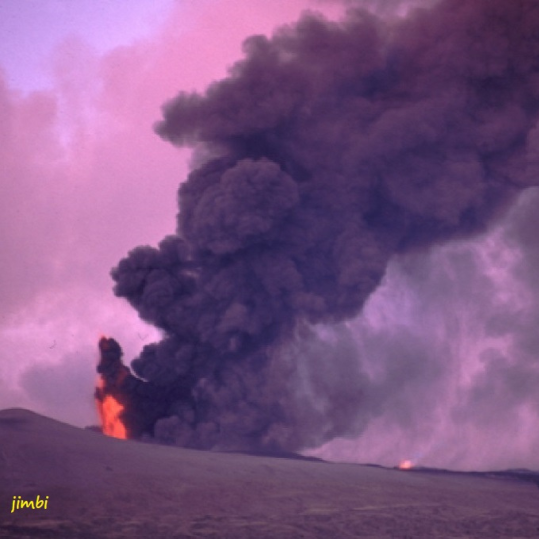Vernissage de l'expo du mois : Photographies